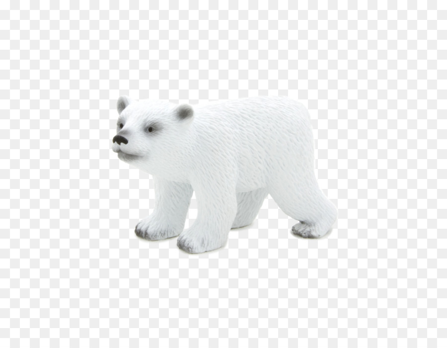 Urso Polar，Branco PNG