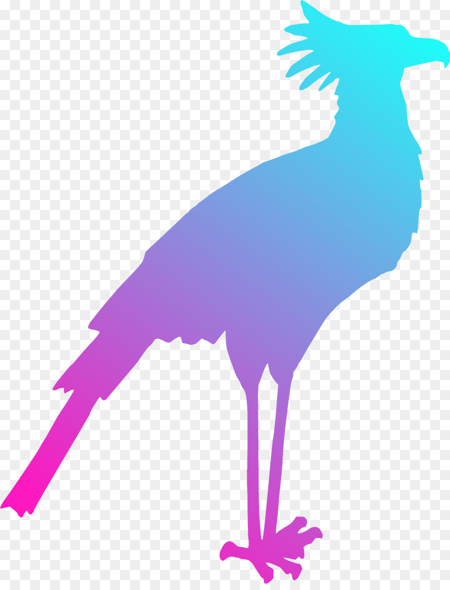 Aves，Secretarybird PNG