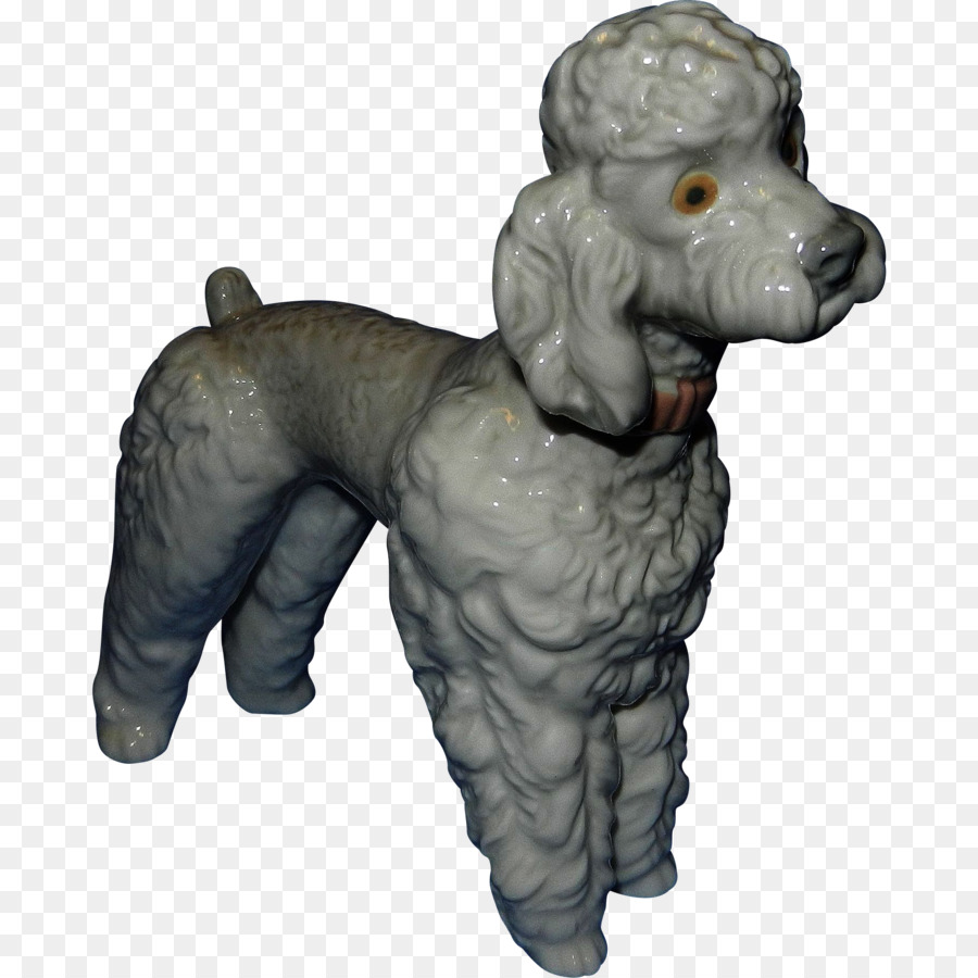 Poodle，Padrão De Poodle PNG