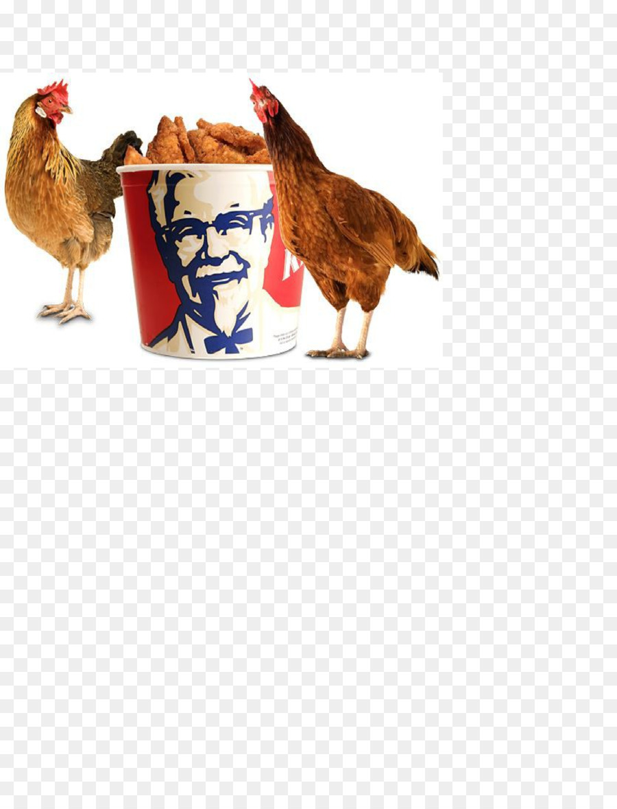 O Coronel Sanders，Kfc PNG