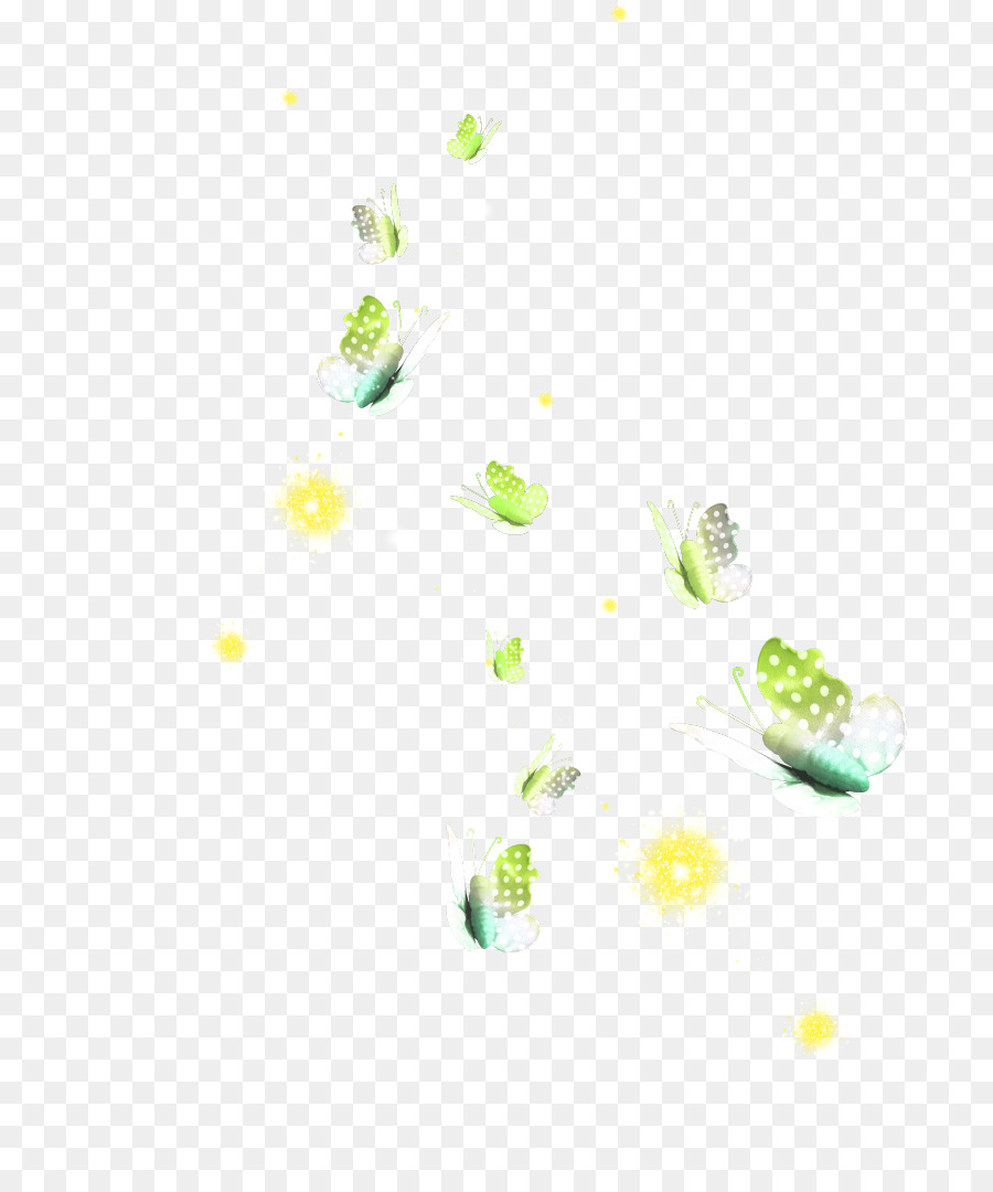 Papel De Parede Da área De Trabalho，Flor PNG