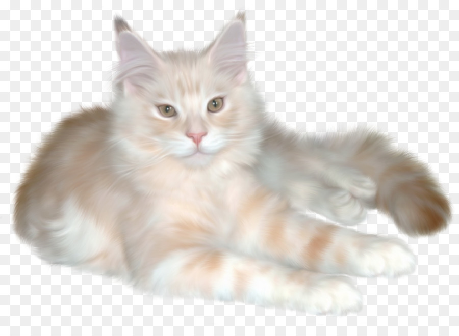 Gato Persa，Gatinho PNG