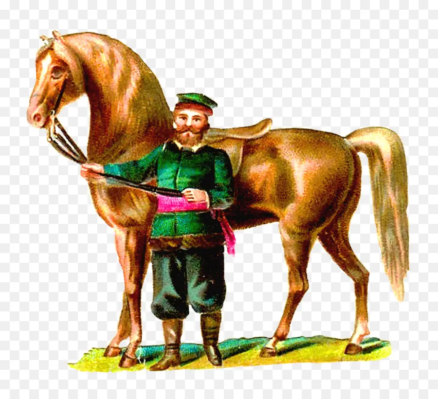 Homem Com Cavalo，Cavaleiro PNG