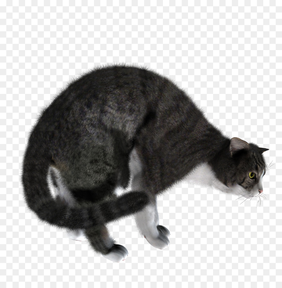 Gato Andando，Cinza PNG