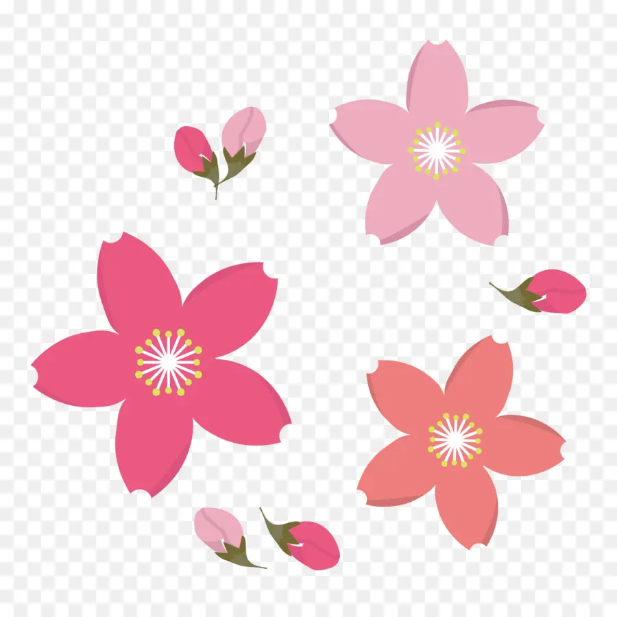 Flores Rosa，Florescer PNG