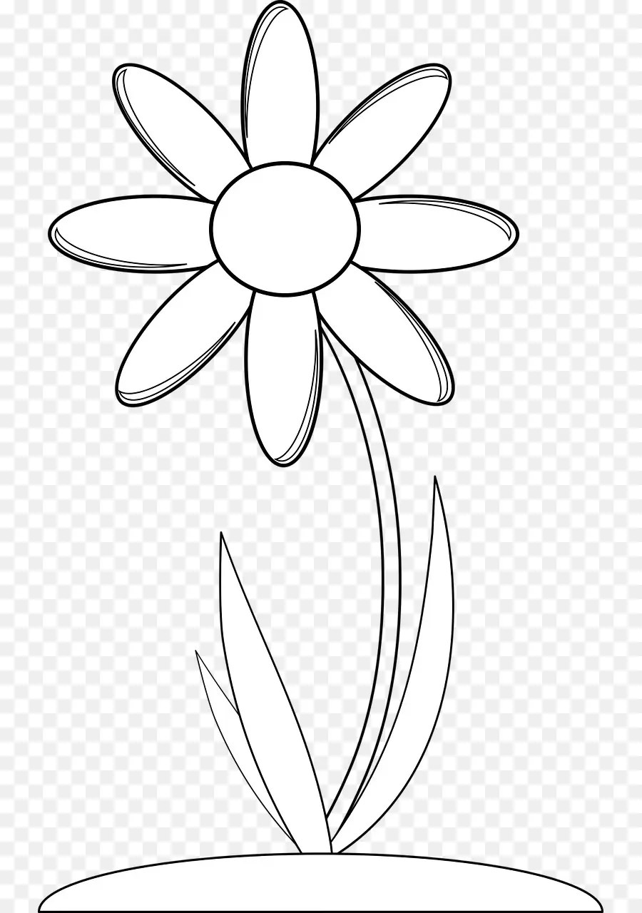 Flor Simples，Contorno PNG