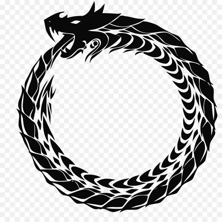 Ouroboros，Dragão PNG