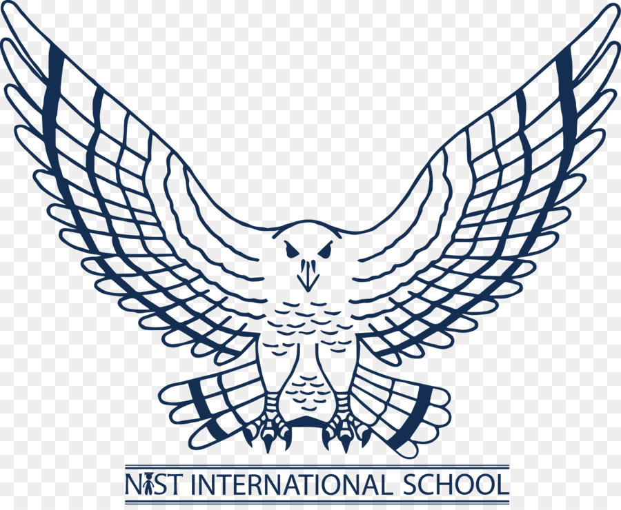Nist Escola Internacional，Atlanta Falcons PNG