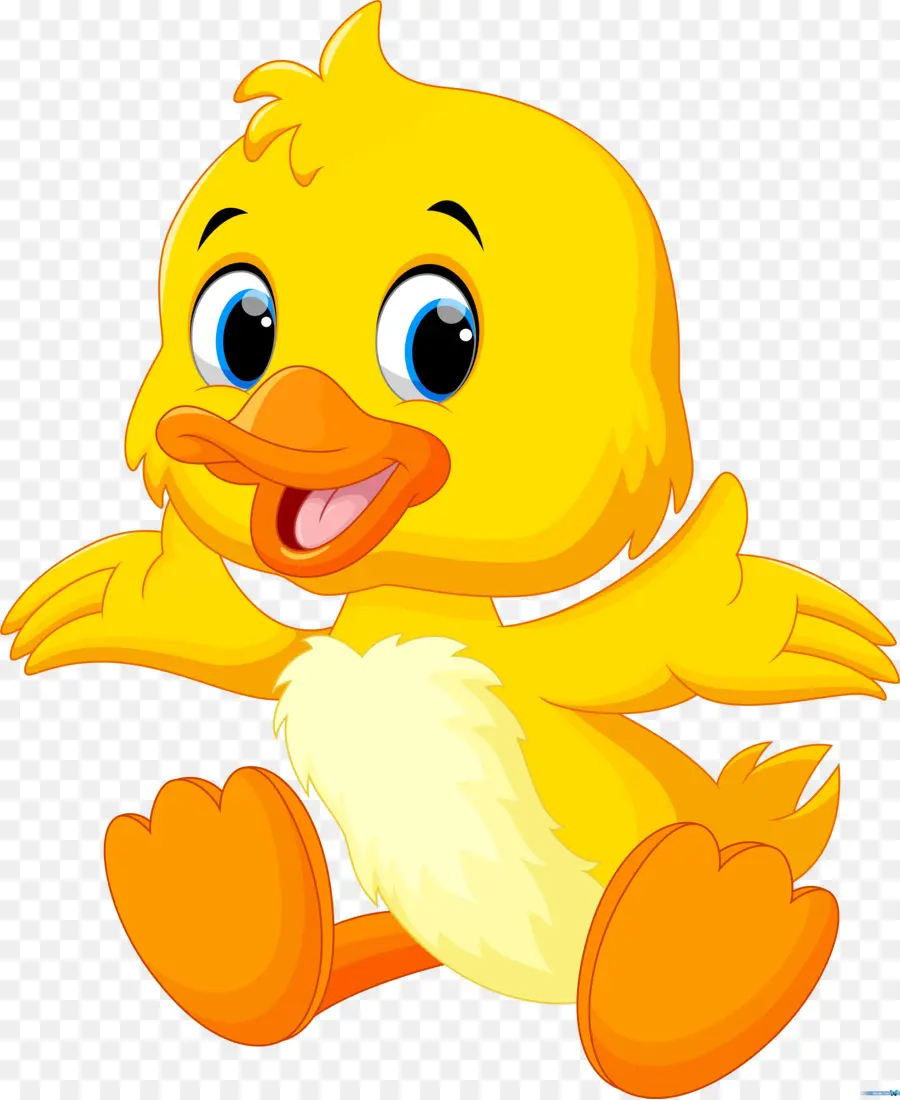 Pato，Patos Do Bebê PNG