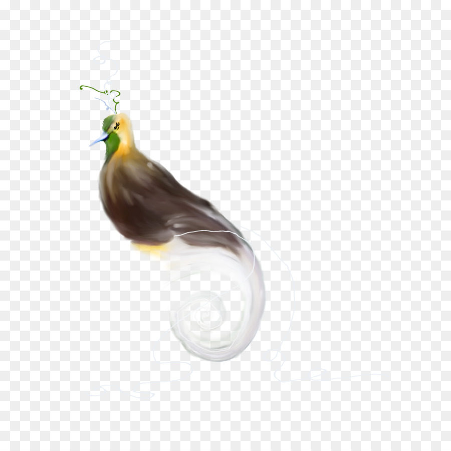 Aves，Starling PNG