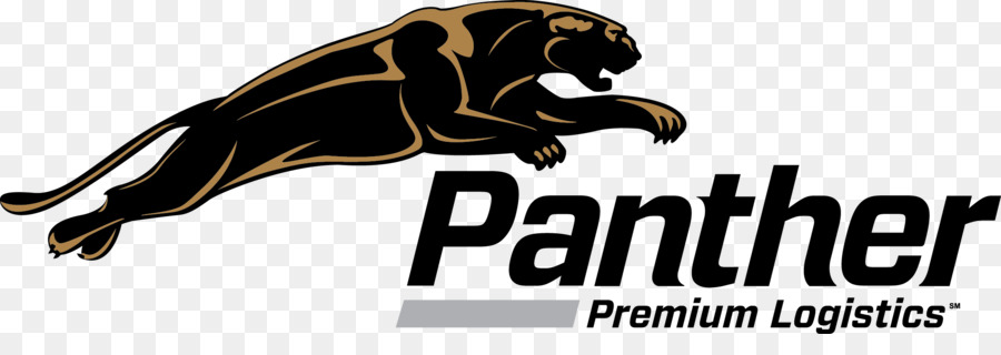 Panther Serviços Expressos，Logística PNG