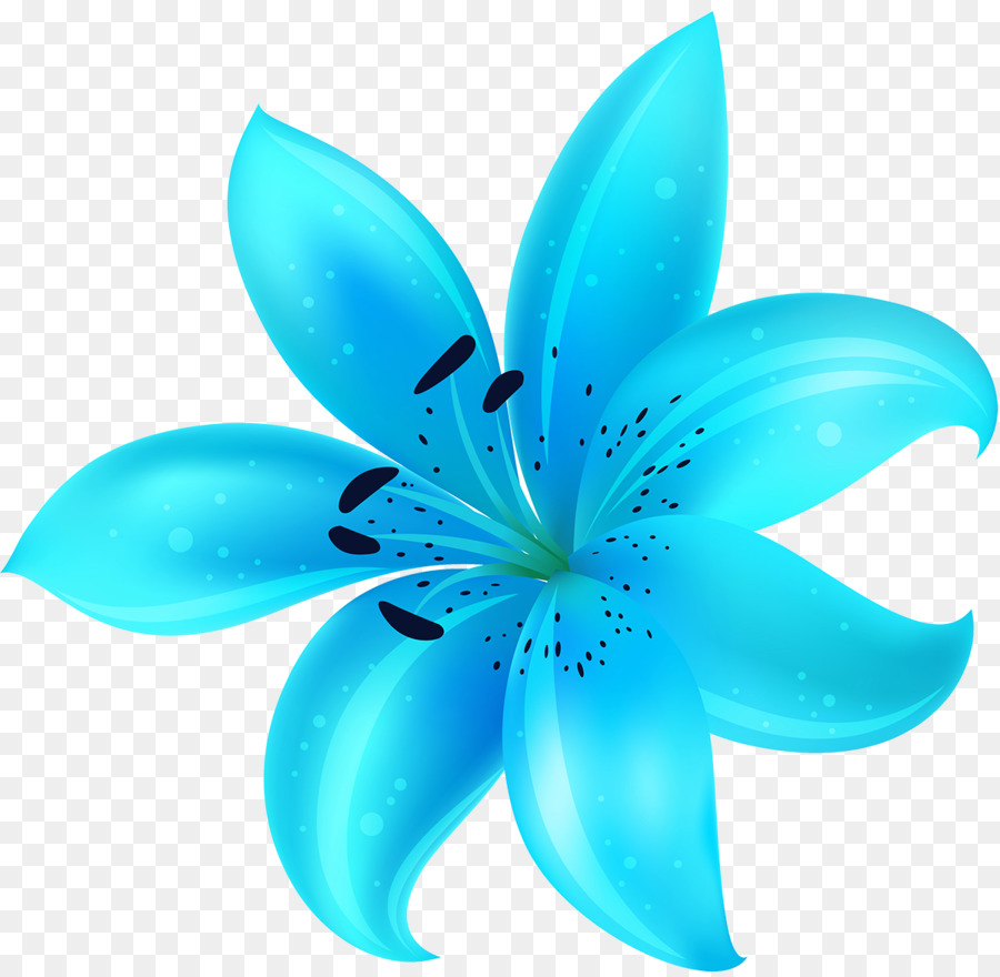 Flor, Turquesa, Teal png transparente grátis