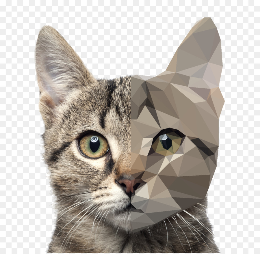 Gato，Cão PNG