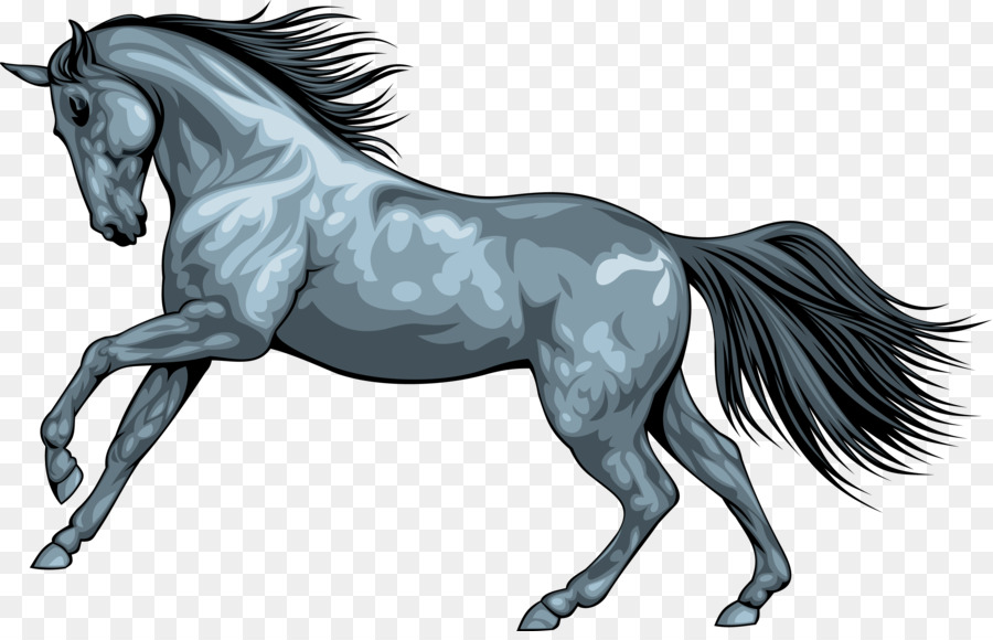 Cavalo Correndo Azul，Velocidade PNG