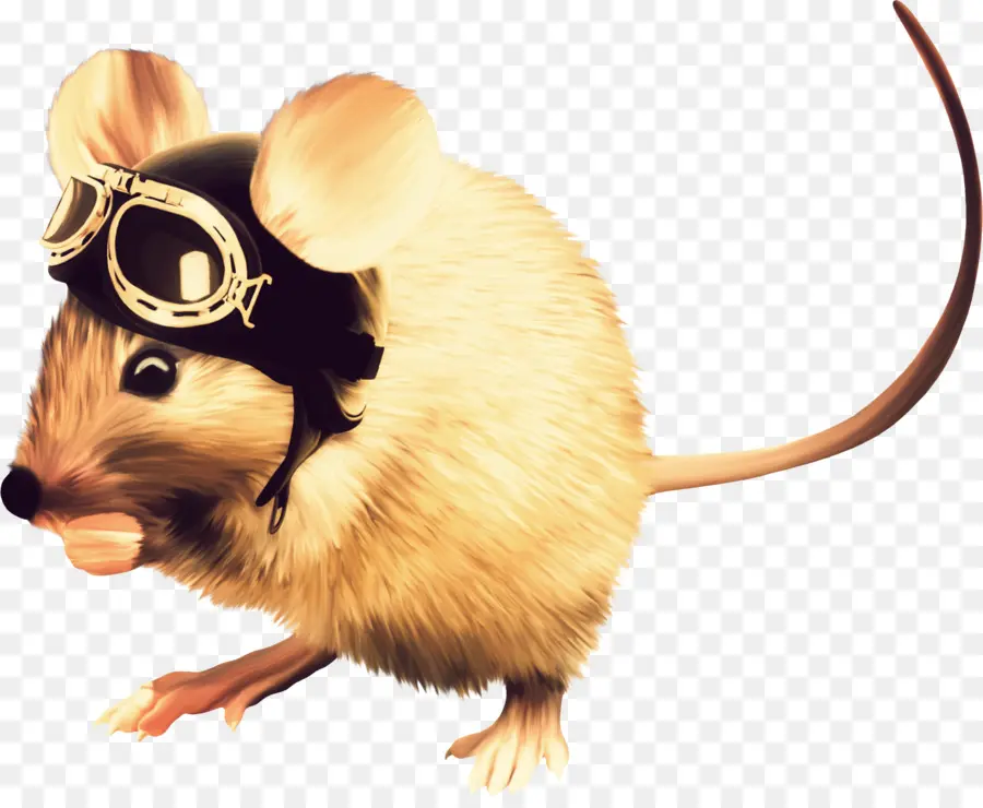 Rato，Capacete PNG