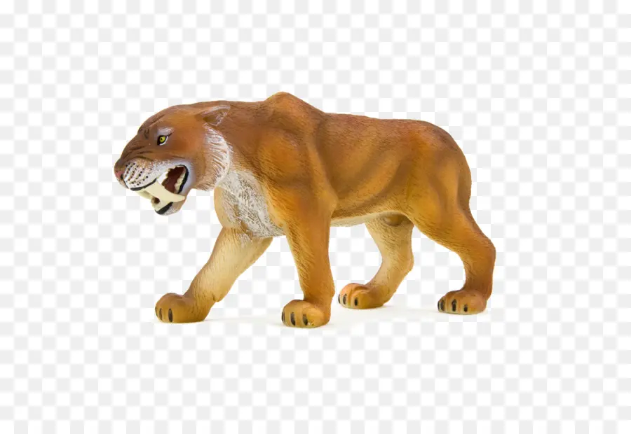 Tigre De Brinquedo，Animal PNG