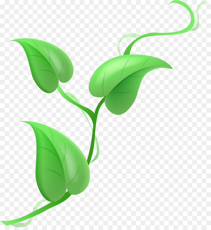 Folhas Verdes，Plantar PNG