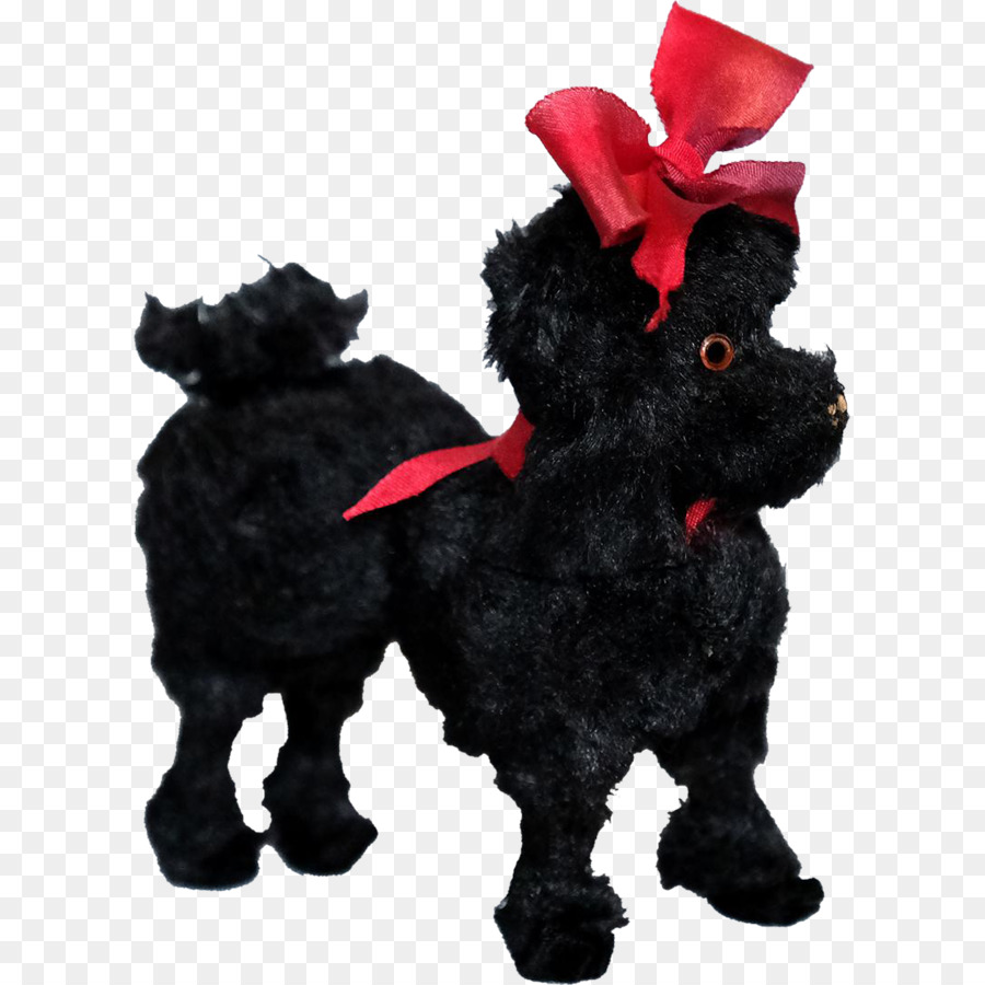 Schnoodle，Affenpinscher PNG