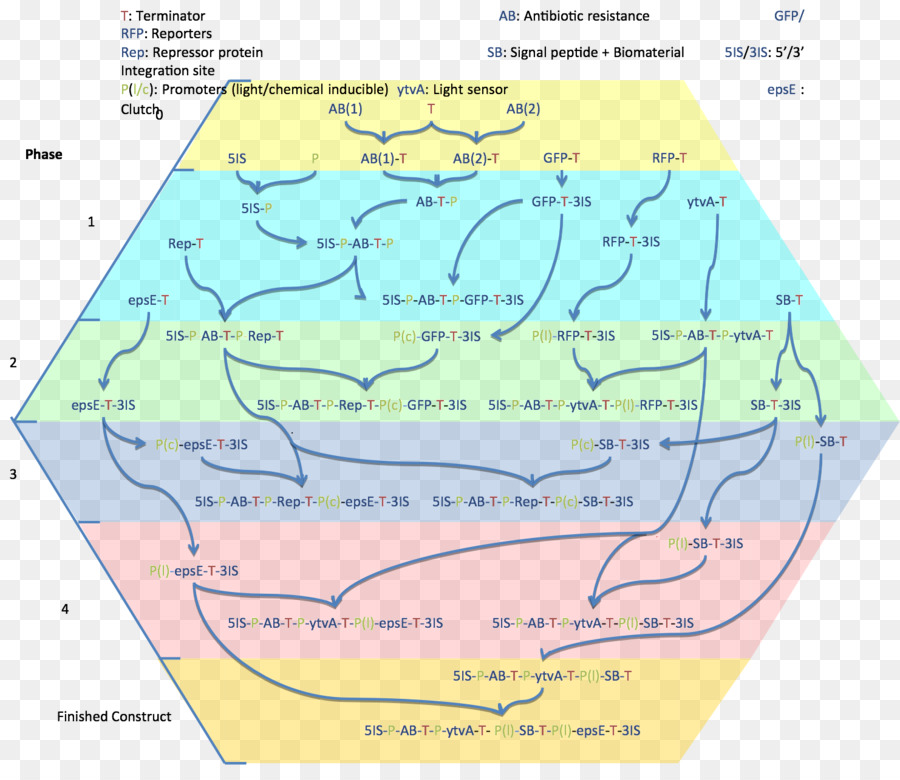 Recursos Hídricos，Eco Região PNG