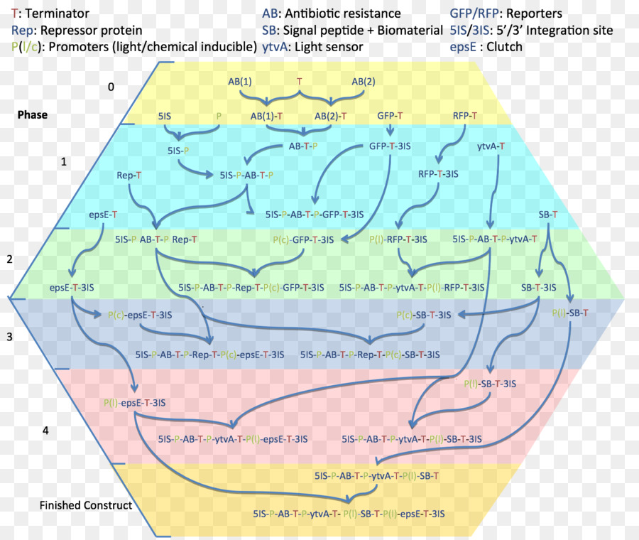 Recursos Hídricos，Eco Região PNG