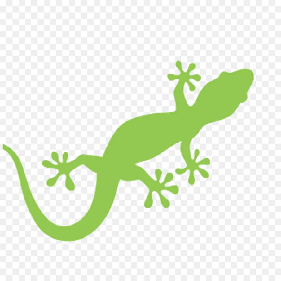 Lagarto，Gecko PNG