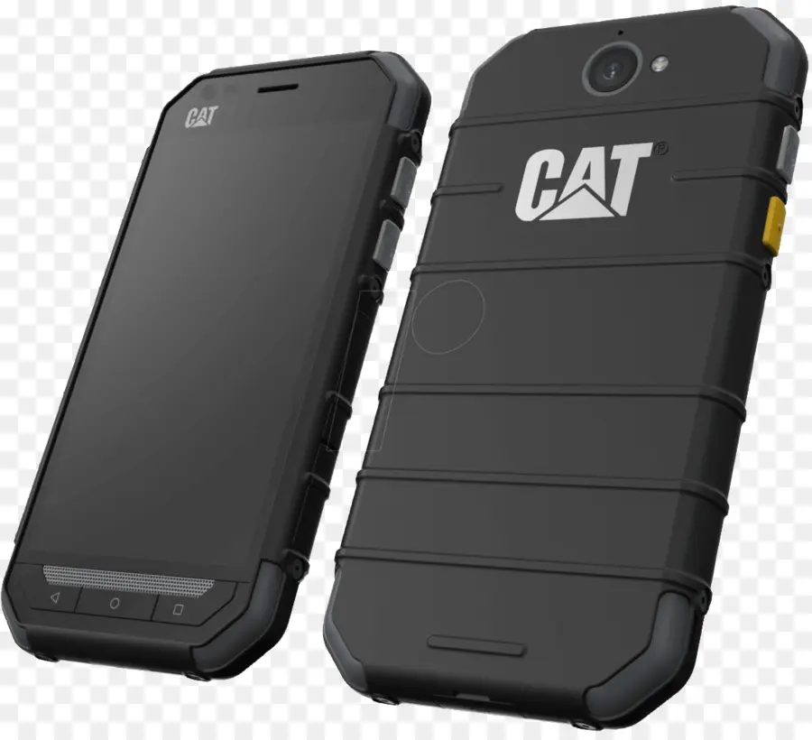 Smartphone Cat，Gato PNG