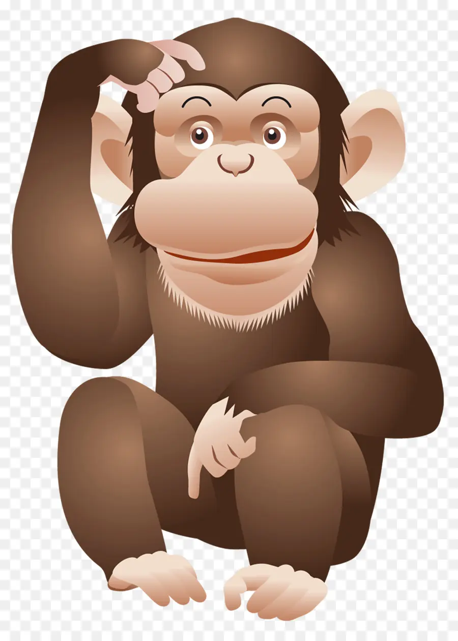 Macaque，Ape PNG