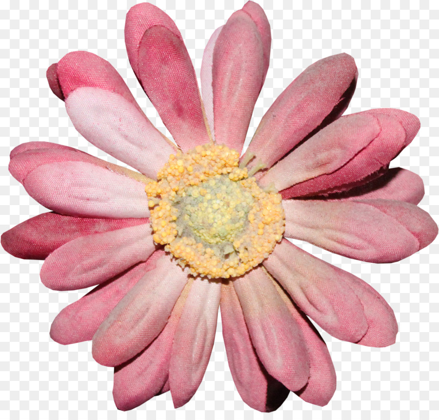 Flor Vermelha，Flor PNG