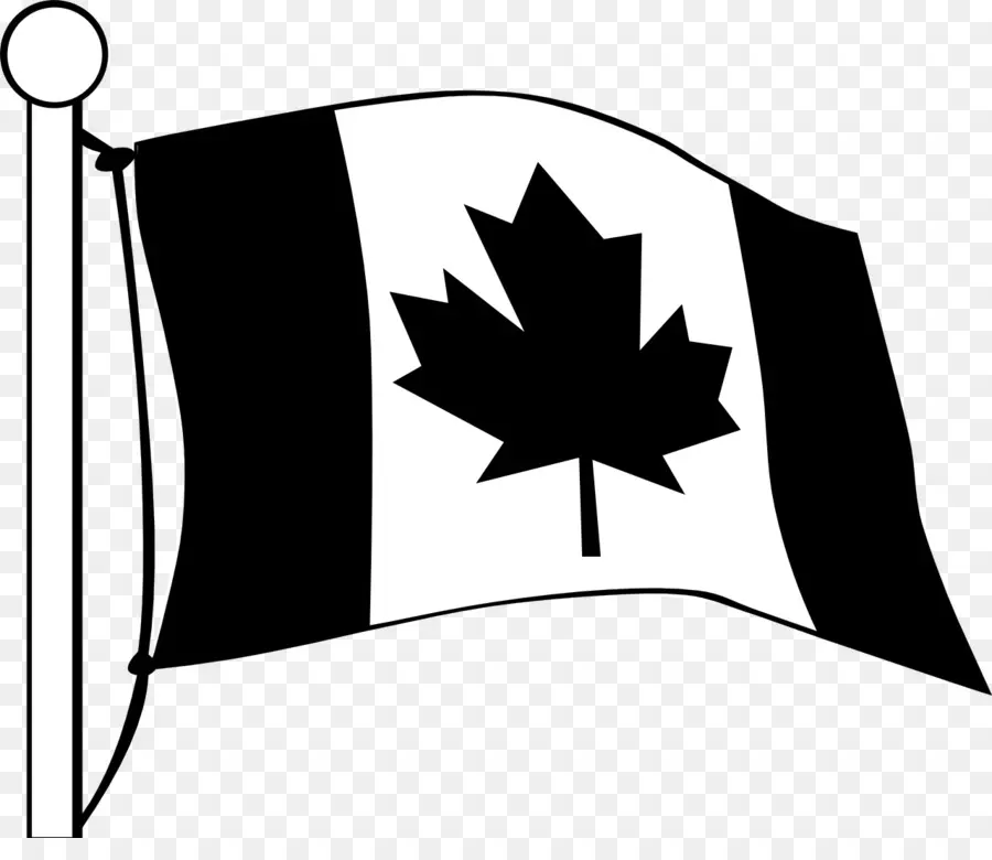 Bandeira Canadense，Folha De Bordo PNG