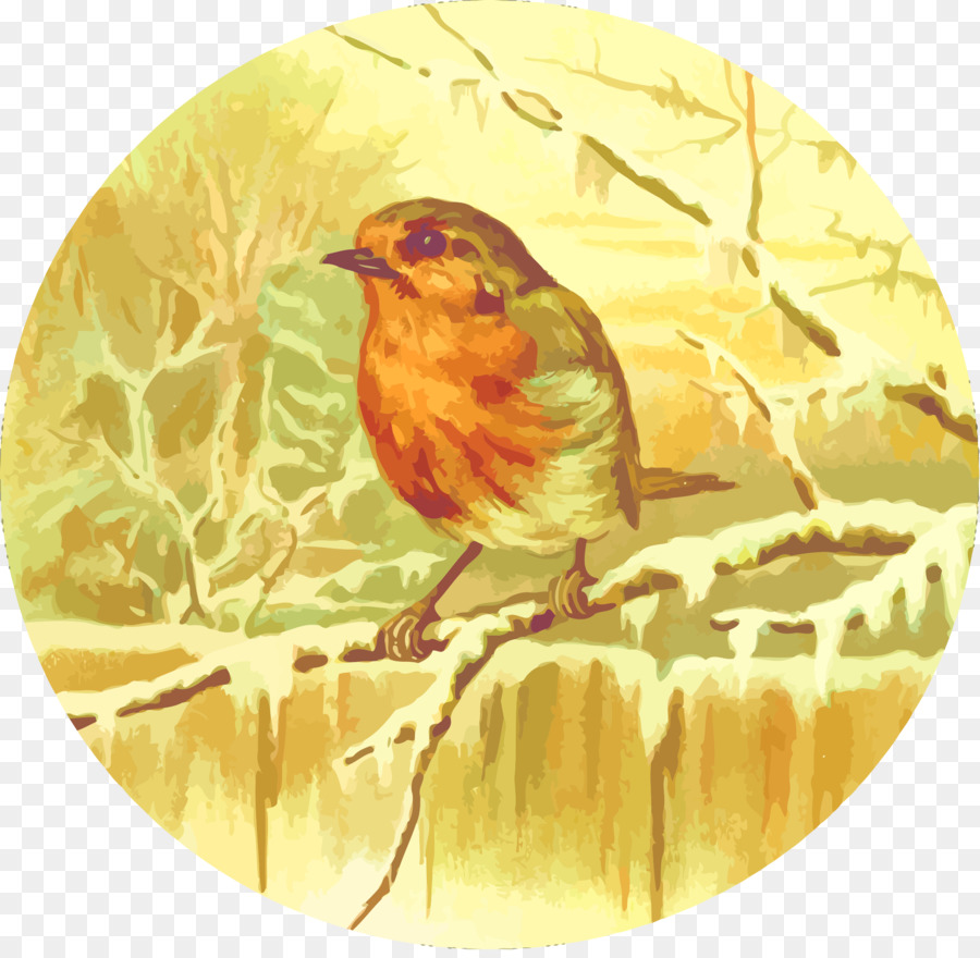 Europeia Robin，Wren PNG