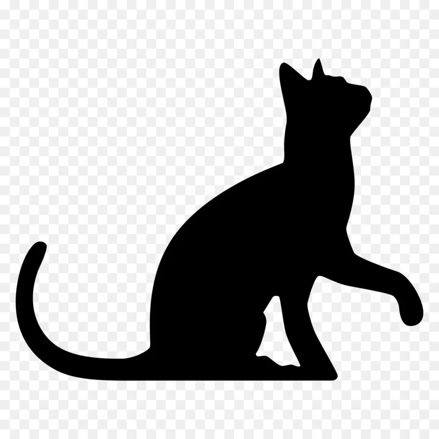 Gato，Gato Preto PNG