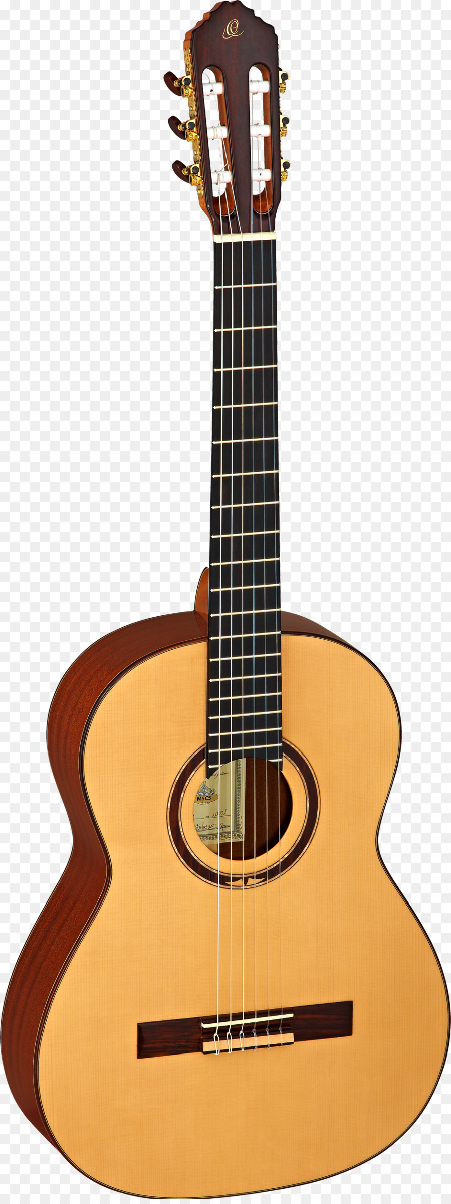 Guitarra，Cordas PNG