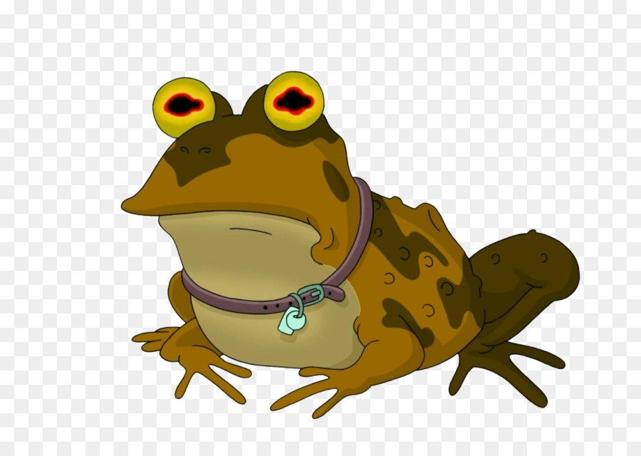 Sapo De Desenho Animado，Sapo PNG