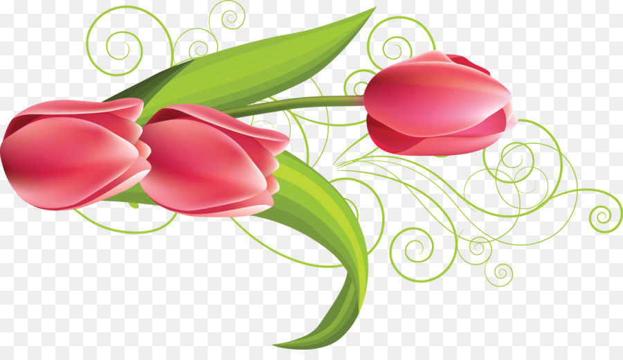 Flor，Tulip PNG