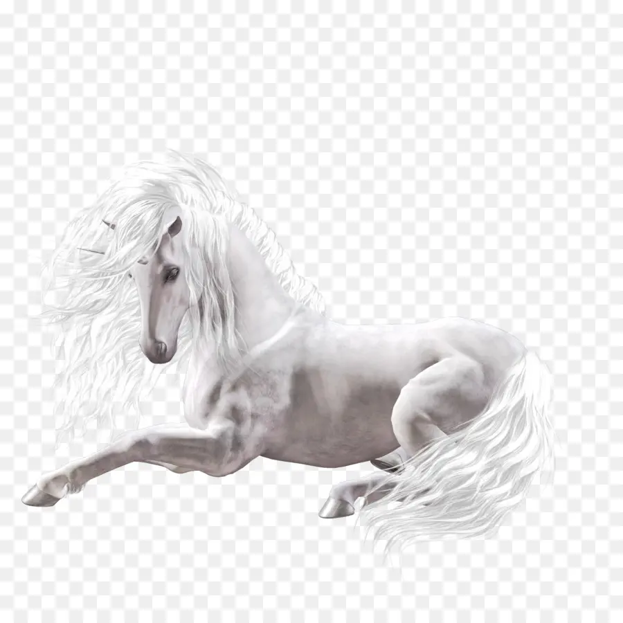 Cavalo Branco，Equino PNG