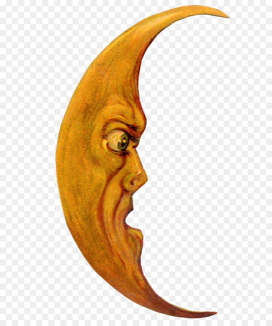 Lua Crescente，Noite PNG