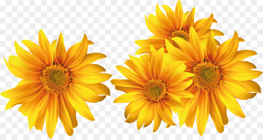 Flor，Depositfiles PNG