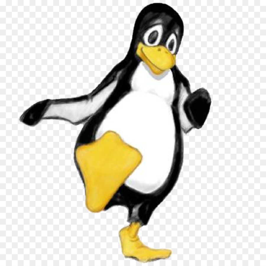 Pinguim，Pássaro PNG