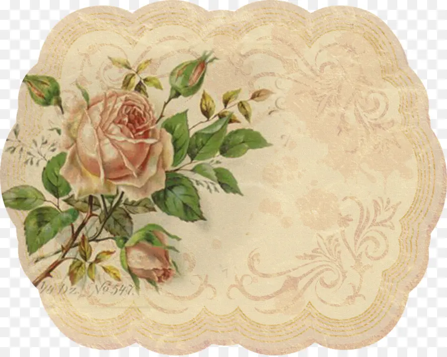 Rosa Vintage，Rosas PNG