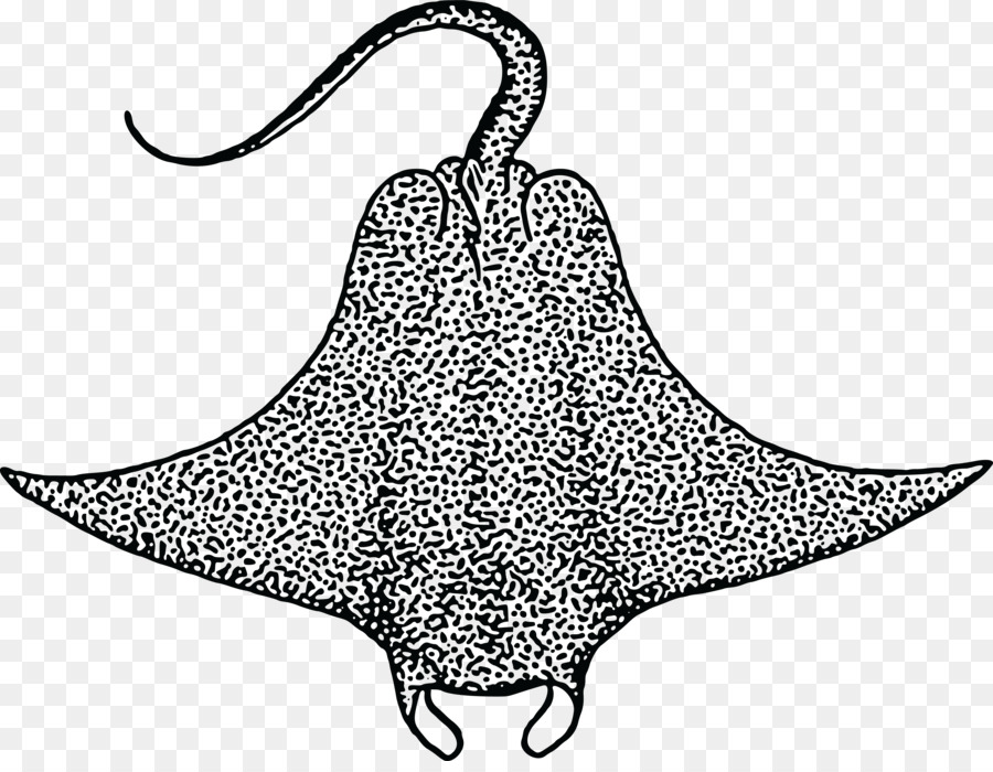 Diabo Peixe，Gigante Oceânica Manta Ray PNG