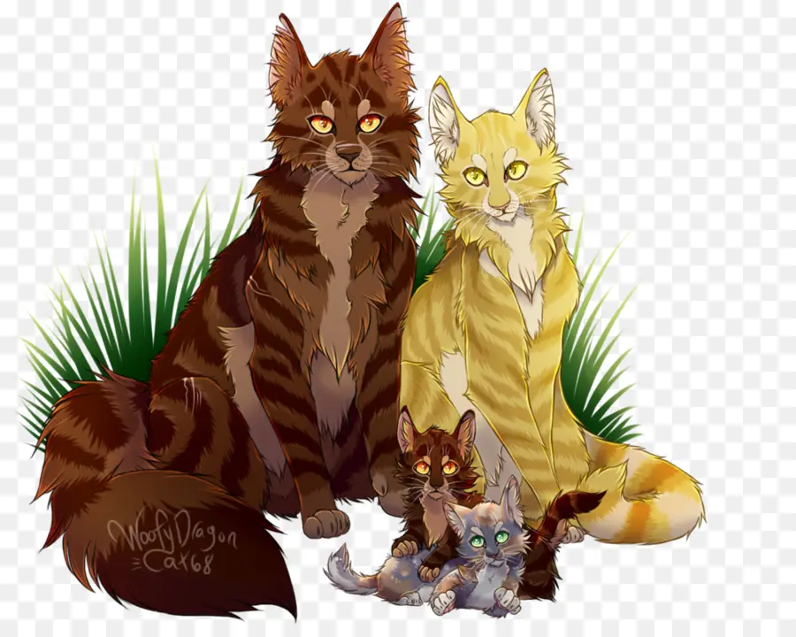 Guerreiros，Tigerstar PNG