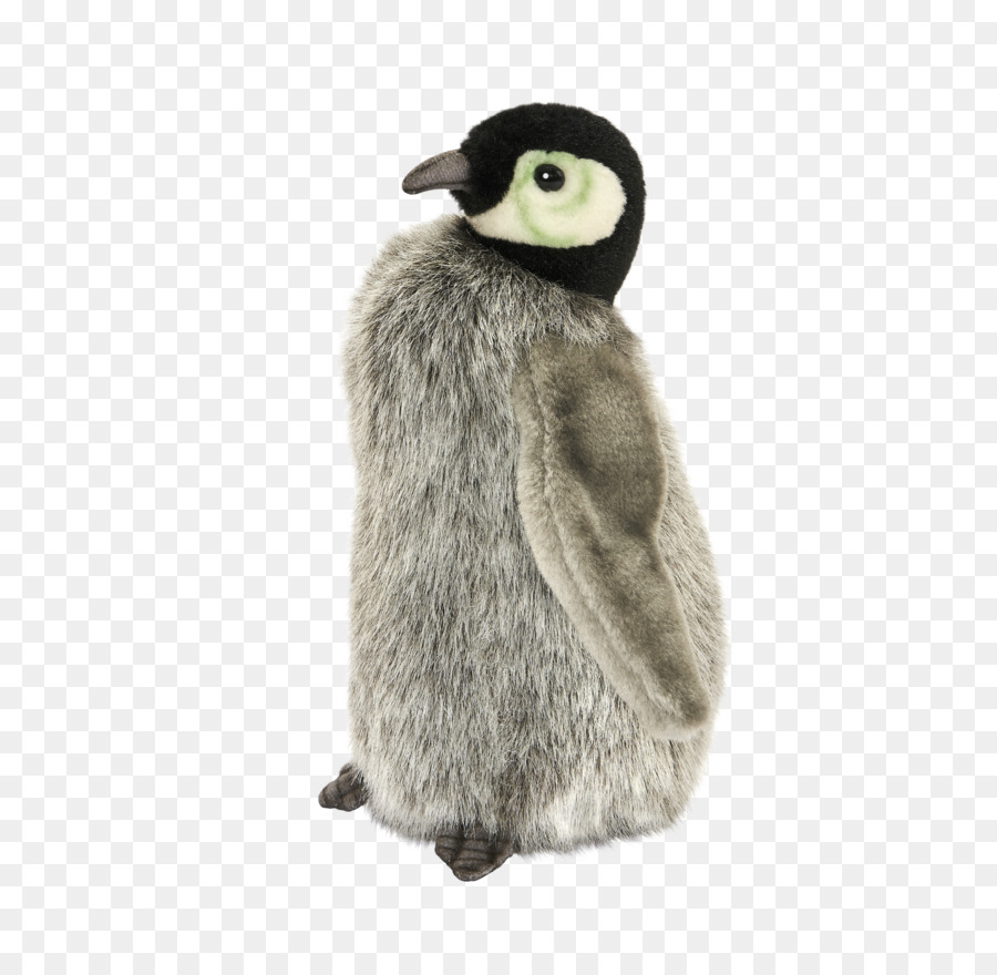 Penguin，Aves PNG