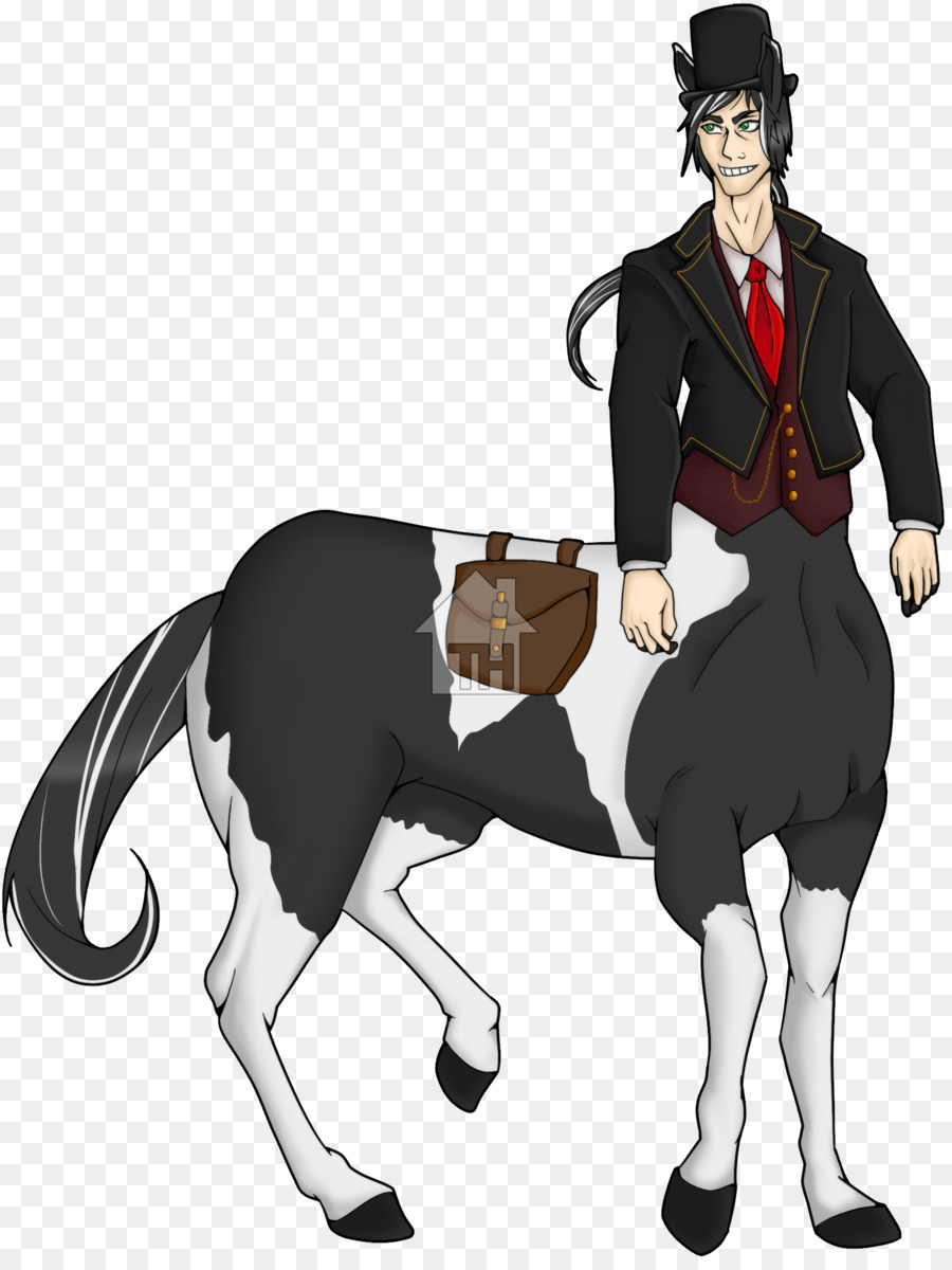 Cavalo，Vertebrados PNG