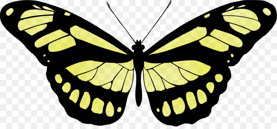 Borboleta，Papilio Ulysses PNG