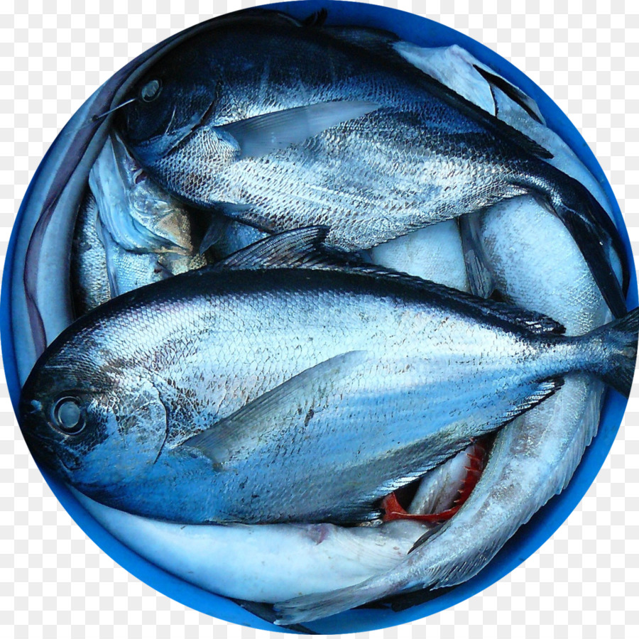 Peixe，Frutos Do Mar PNG