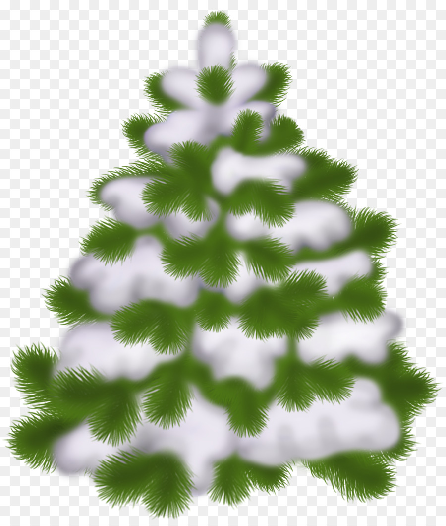 Árvore De Natal，Pinho PNG