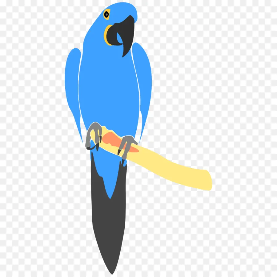 Papagaio，Aves PNG