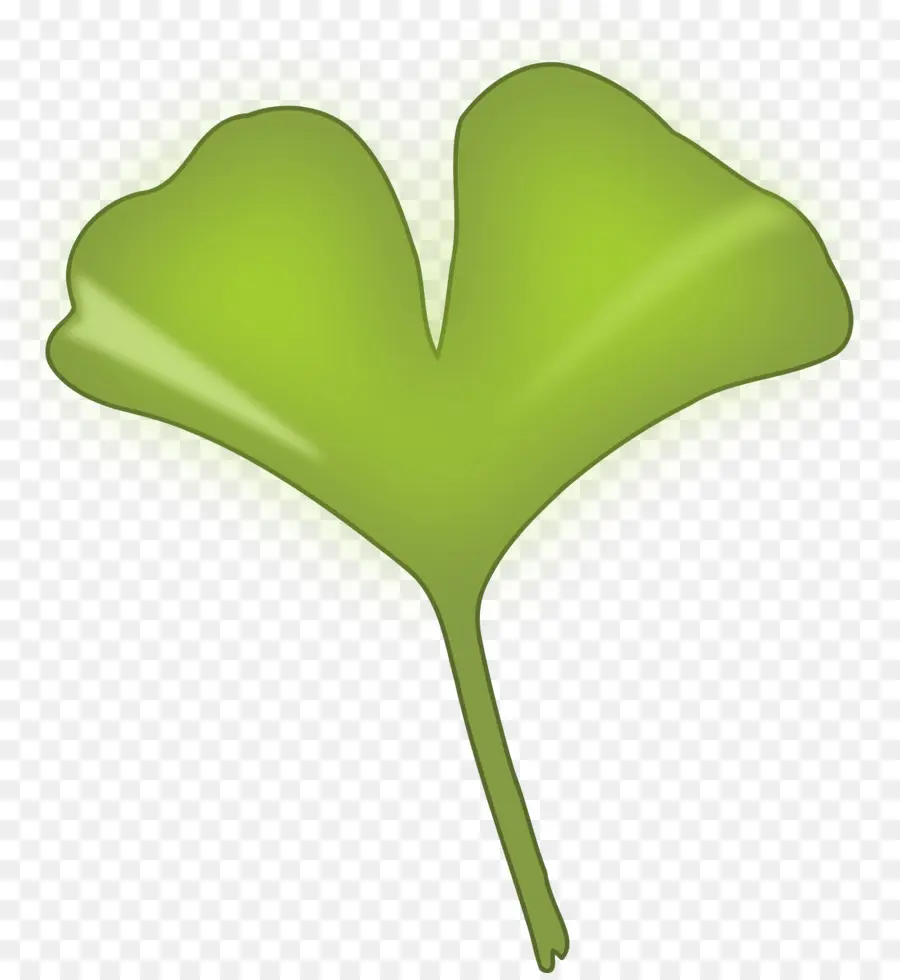 Folha De Ginkgo，Verde PNG