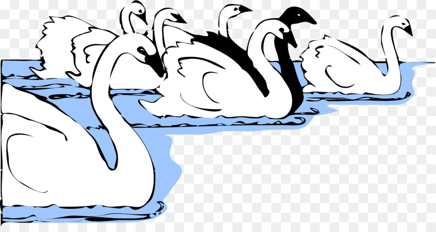 Cisne Negro，Papel De Parede Da área De Trabalho PNG