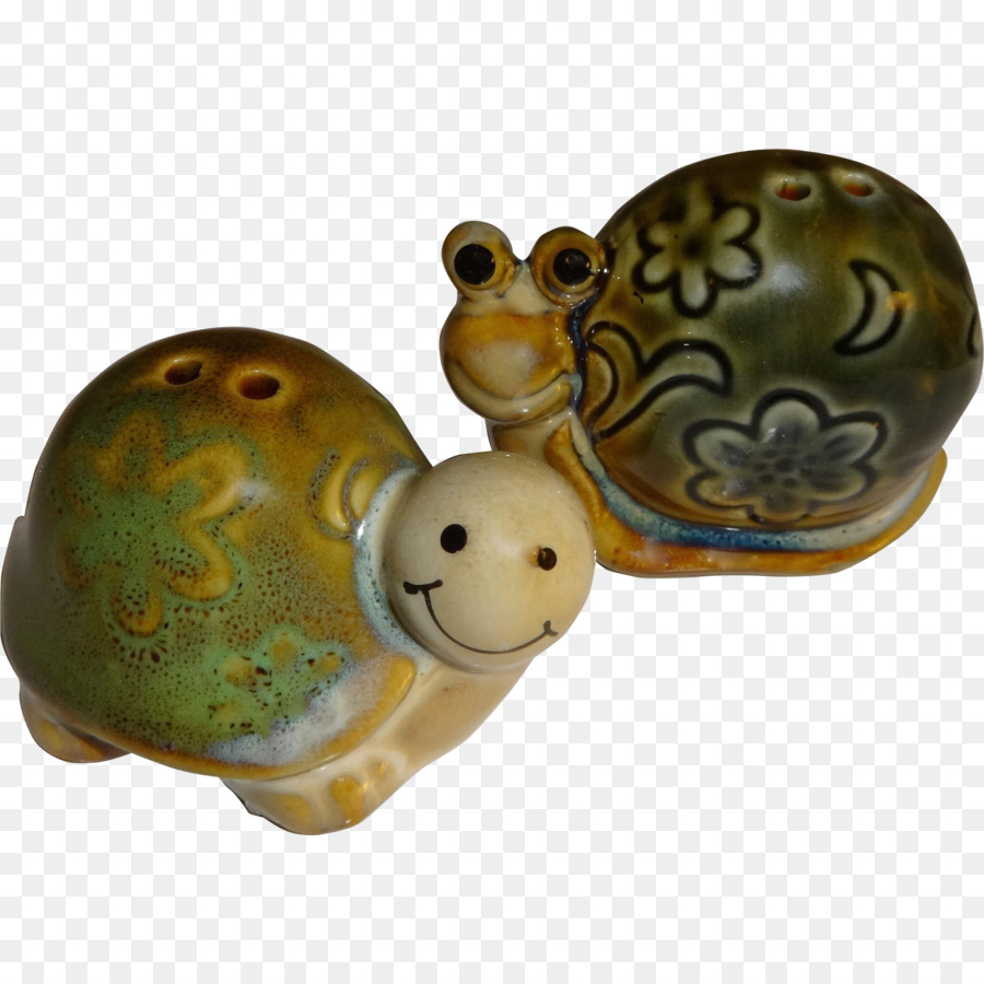 Tartaruga，Caracol PNG